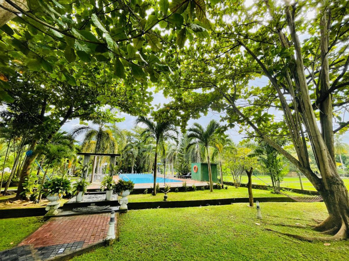 Tishan Holiday Resort Polonnaruwa Εξωτερικό φωτογραφία