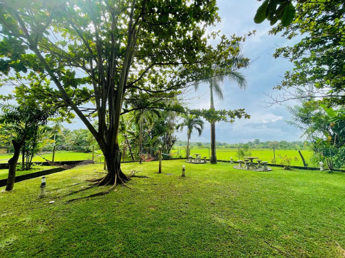 Tishan Holiday Resort Polonnaruwa Εξωτερικό φωτογραφία
